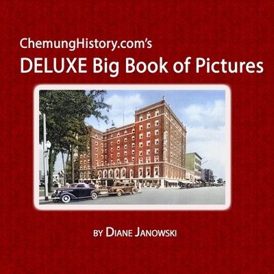 Cover for Diane Janowski · ChemungHistory.com's DELUXE Big Book of Pictures (Paperback Book) (2022)