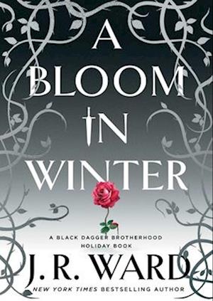 Cover for J.R. Ward · A Bloom in Winter - The Black Dagger Brotherhood World (Gebundenes Buch) (2024)