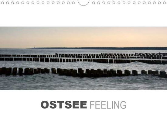 Ostseefeeling (Wandkalender 2020 D - Manz - Livros -  - 9783670803287 - 