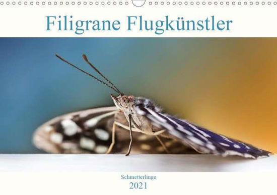 Cover for Mohrmann · Schmetterlinge - Filigrane Flu (Book)