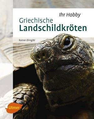 Cover for Zirngibl · Griechische Landschildkröten (Buch)
