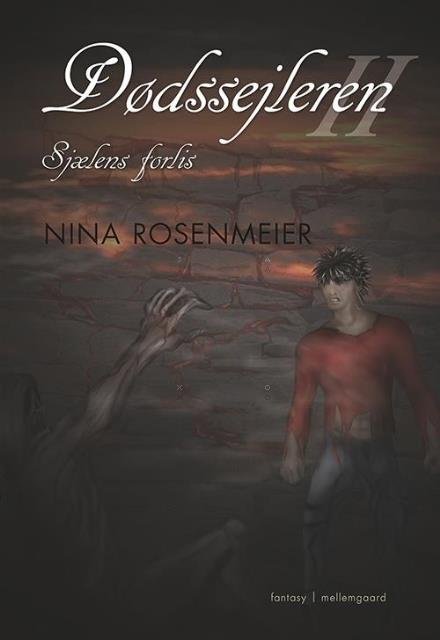 Dødssejleren: Sjælens forlis - Nina Rosenmeier - Books - Forlaget mellemgaard - 9788771903287 - January 31, 2017