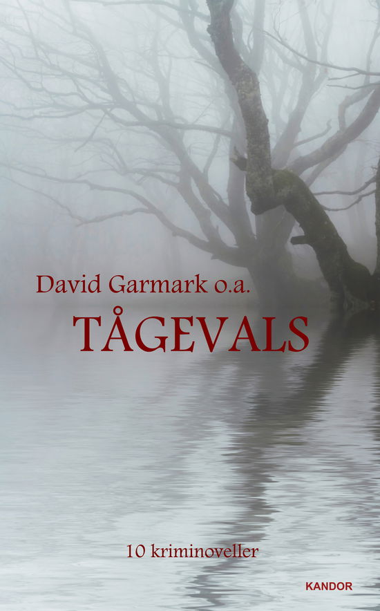Tågevals - A. Silvestri, Christian Holger Pedersen, David Diemer, David Garmark, Lars Thomassen, Maria Kjær-Madsen, Mogens Fjord Christensen, Susanne Thrane, Tanja Christensen, Vibeke Vipse Blohm - Books - Kandor - 9788791589287 - March 2, 2015