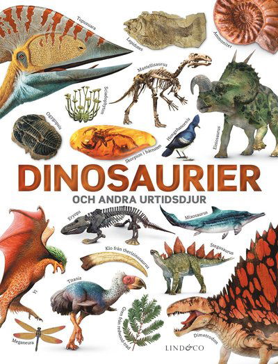 Cover for John Woodward · Dinosaurier och andra urtidsdjur (Hardcover bog) (2025)