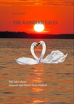 Cover for Rainbird · The Rainbird Tales (Book)