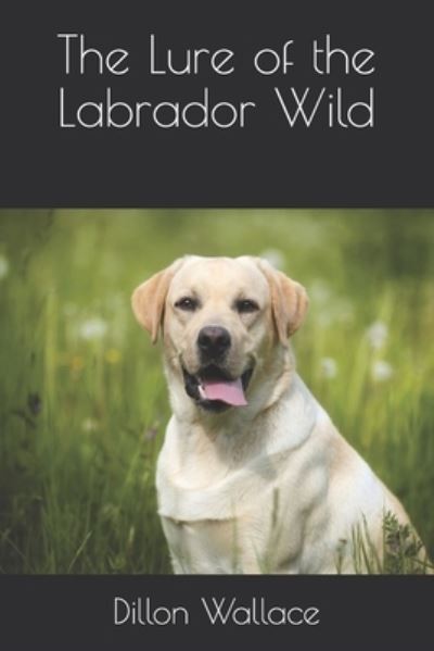 The Lure of the Labrador Wild - Dillon Wallace - Books - Independently Published - 9798694744287 - December 31, 2020