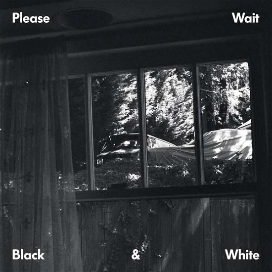 Cover for Please Wait · Black &amp; White (LP) [EP edition] (2020)