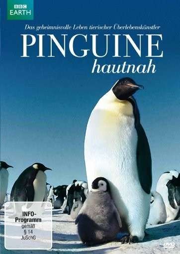 Cover for Pinguine Hautnah (DVD) (2013)