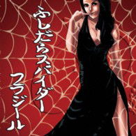Cover for Fragile · Fushidara Spider (CD) [Japan Import edition] (2013)