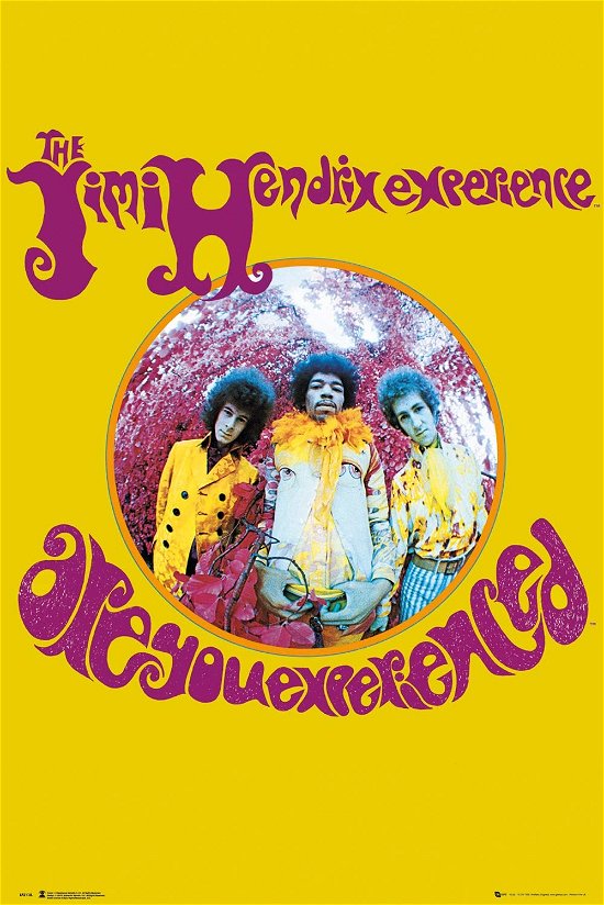 Cover for The Jimi Hendrix Experience · Jimi Hendrix: Experience (Poster Maxi 61x91,5 Cm) (Leketøy)