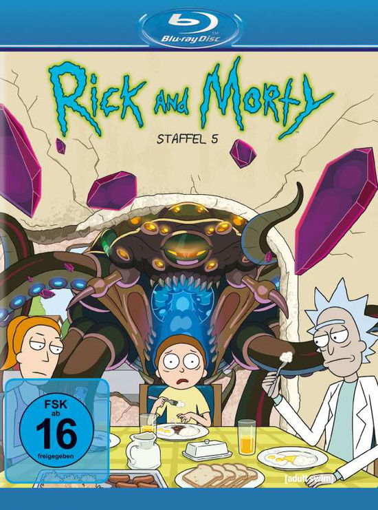 Cover for Keine Informationen · Rick &amp; Morty-staffel 5 (Blu-Ray) (2022)