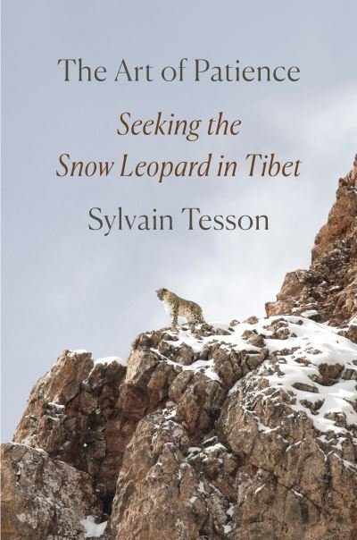 Cover for Sylvain Tesson · The Art of Patience (Hardcover bog) (2021)