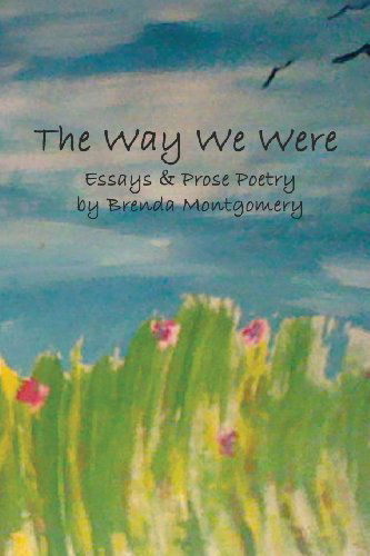Cover for Brenda Montgomery · The Way We Were (Taschenbuch) (2013)