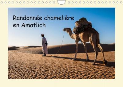 Cover for Denis · Randonnée chamelière en Amatlich (Buch)