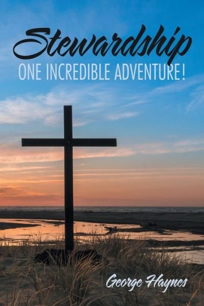 Cover for George Haynes · Stewardship: One Incredible Adventure! (Paperback Bog) (2016)