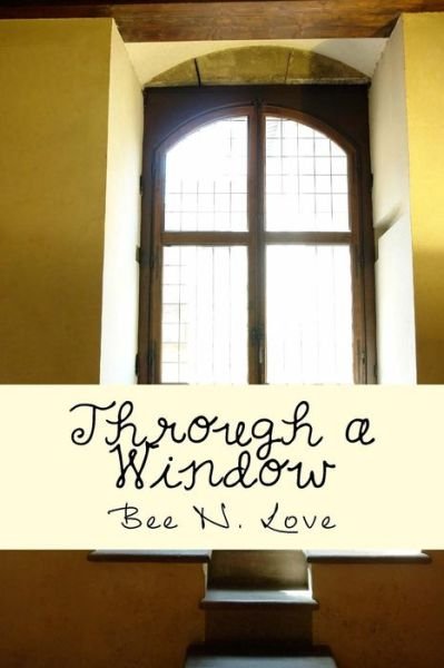 Cover for Bee N. Love · Through a Window: a Short Story Collection (Paperback Book) [Volume I edition] (2014)