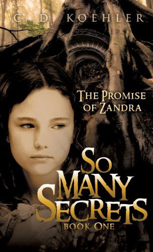 Cover for C. D. Koehler · So Many Secrets (Hardcover Book) (2011)