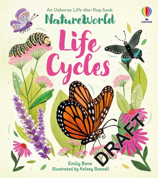 Cover for Emily Bone · NatureWorld: Life Cycles - NatureWorld (Board book) (2023)