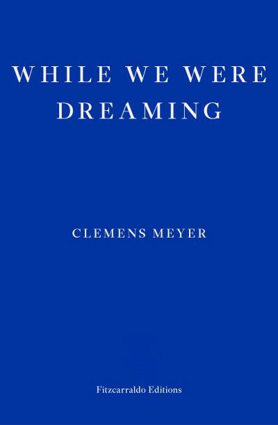 While We Were Dreaming - Clemens Meyer - Libros - Fitzcarraldo Editions - 9781804270288 - 30 de marzo de 2023