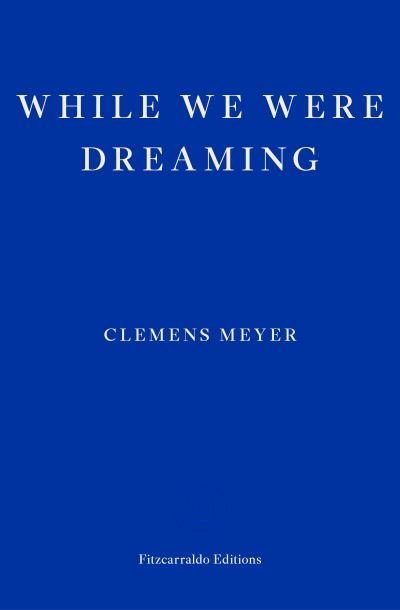 Cover for Clemens Meyer · While We Were Dreaming (Paperback Book) (2023)