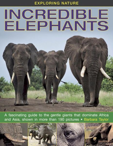 Cover for Barbara Taylor · Exploring Nature: Incredible Elephants (Inbunden Bok) (2014)