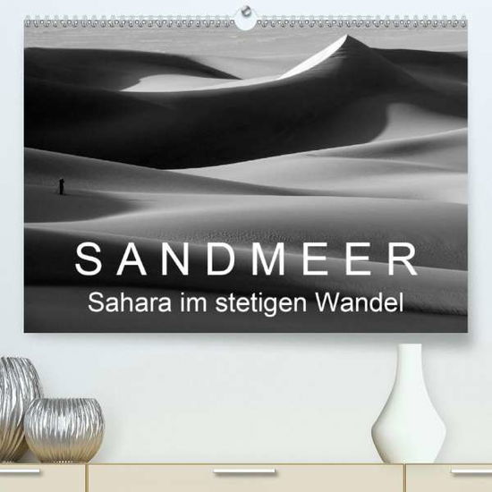 Cover for Zinn · Sandmeer - Sahara im stetigen Wand (Buch)