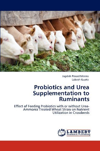 Cover for Lokesh Gupta · Probiotics and Urea Supplementation to Ruminants: Effect of Feeding Probiotics with or Without Urea-ammonia Treated Wheat Straw on Nutrient Utilization in Crossbreds (Paperback Bog) (2012)