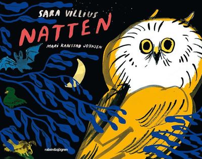 Natten - Sara Villius - Książki - Rabén & Sjögren - 9789129708288 - 14 czerwca 2017