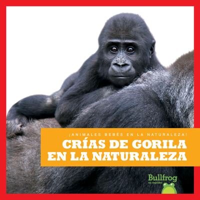 Cover for Brandle · Crías de Gorila en la Naturaleza (Buch) (2023)