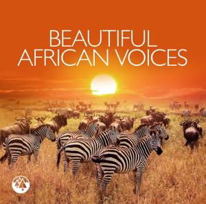 Beautiful African Voices - V/A - Musiikki - Zyx - 0090204691289 - perjantai 28. huhtikuuta 2017