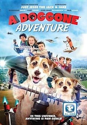 Cover for Doggone Adventure (DVD) (2018)