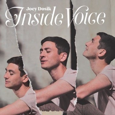 Inside Voice - Joey Dosik - Muziek - ULTRA VYBE CO. - 4526180490289 - 3 augustus 2019