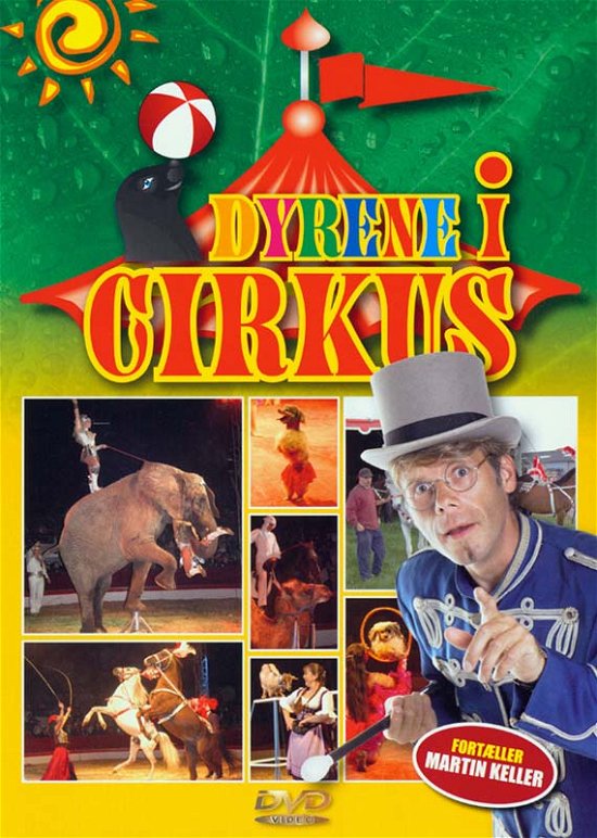 Cover for Dyrene I Cirkus (DVD) (2006)