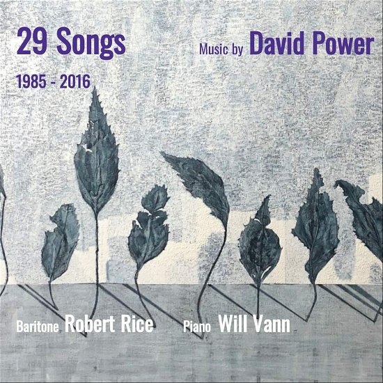 Cover for Rice,robert / Vann,william · 29 Songs: Music by David Power 1985-2016 (CD) (2022)