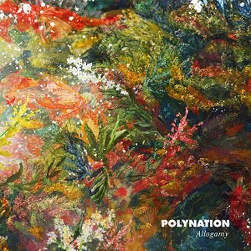 Cover for Polynation · Allogamy (LP) (2015)