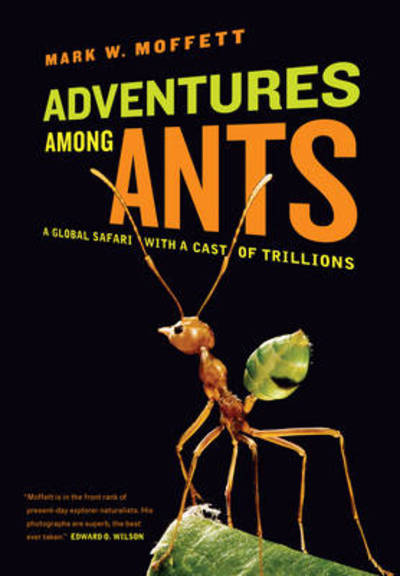 Mark W. Moffett · Adventures among Ants: A Global Safari with a Cast of Trillions (Paperback Book) (2011)