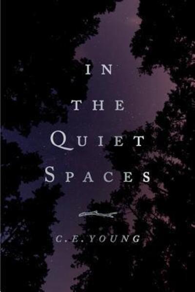 Cover for C E Young · In the Quiet Spaces (Paperback Book) (2016)