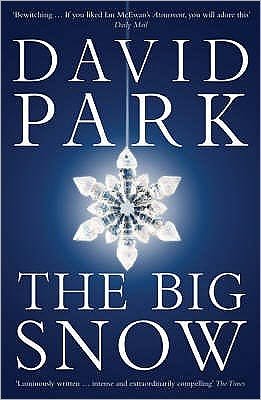 Cover for David Park · The Big Snow (Paperback Book) (2009)