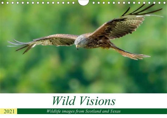 Wild Visions - Wildlife Images - Sweeney - Books -  - 9781325589289 - 
