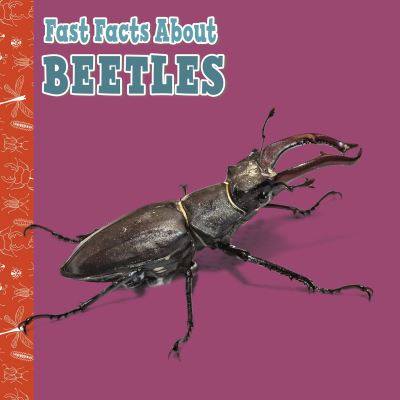 Cover for Julia Garstecki-Derkovitz · Fast Facts About Beetles - Fast Facts About Insects and Spiders (Hardcover Book) (2021)