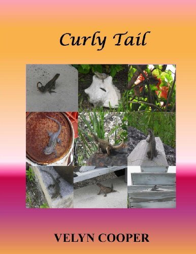 Cover for Velyn Cooper · Curly Tail (Paperback Book) (2013)