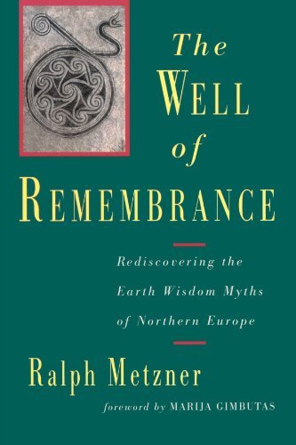 Cover for Ralph Metzner · Well of Remembrance: Rediscovering the Earth Wisdom Myths of Northern Europe (Paperback Bog) (1994)