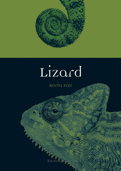 Cover for Boria Sax · Lizard - Animal (Pocketbok) (2017)