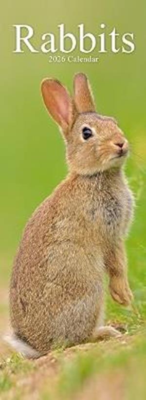 Cover for Rabbits Slim Calendar 2026  Cute Slimline Calendar - 12 Month (Calendar) (2025)