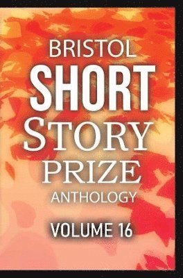 Cover for Bristol Short Story Prize Anthology Volume 16 - Bristol Short Story Prize Anthology (Paperback Book) (2023)