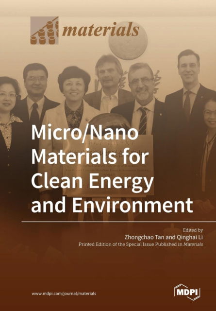 Cover for Zhongchao Tan · Micro / Nano Materials for Clean Energy and Environment (Taschenbuch) (2019)