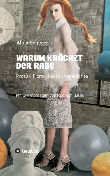 Cover for Segerer · Warum krächzt der Rabe (Book) (2020)