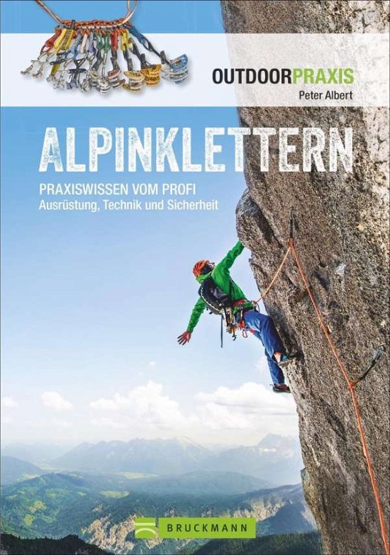 Cover for Albert · Alpinklettern (Bog)