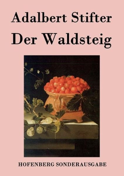 Cover for Adalbert Stifter · Der Waldsteig (Paperback Book) (2015)