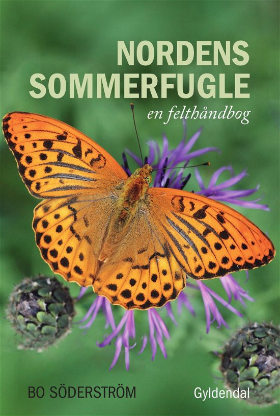 Cover for Bo Söderström · Nordens sommerfugle (Heftet bok) [1. utgave] (2022)